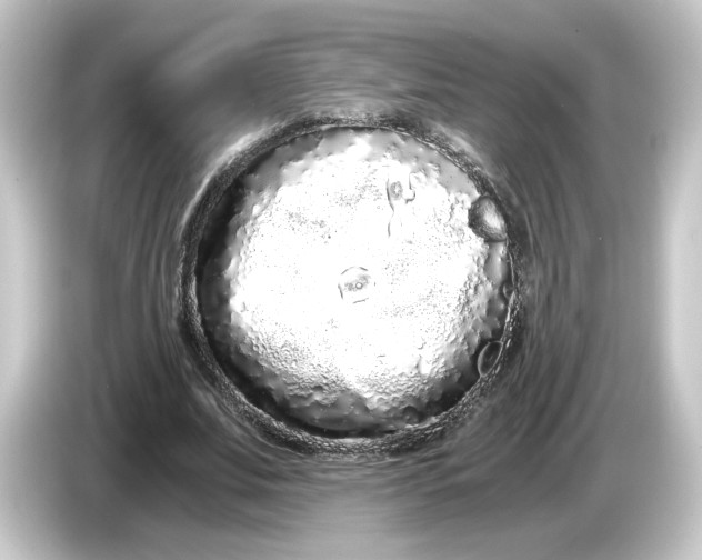 X0000084550679200703161647