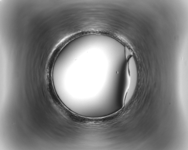 X0000084550680200703161647