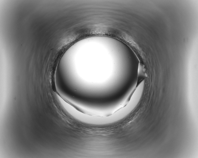 X0000084550681200703161647