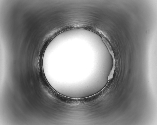 X0000084550682200703161647