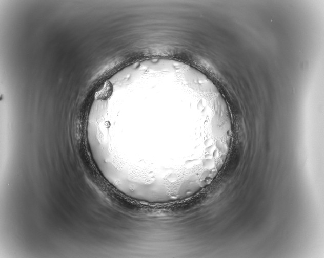 X0000084550683200703161647