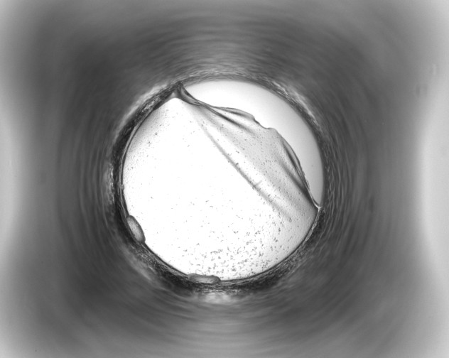 X0000084550684200703161647