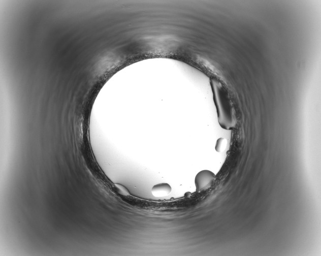 X0000084550685200703161647