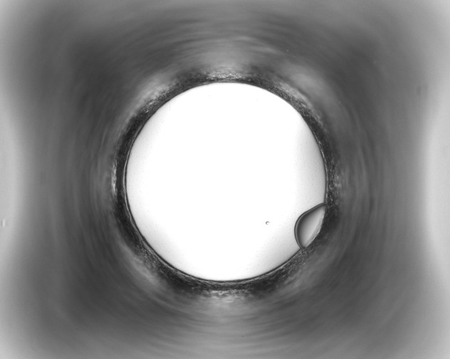 X0000084550686200703161647