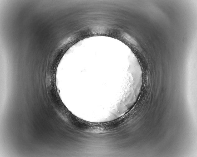 X0000084550687200703161647