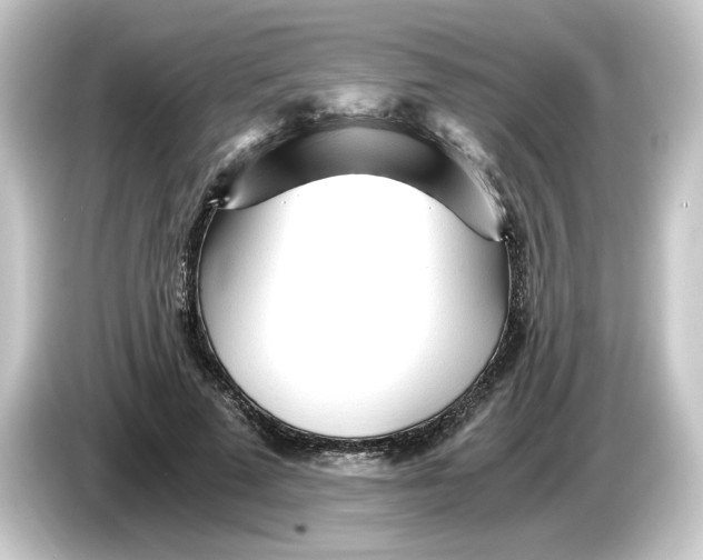 X0000084550689200703161647