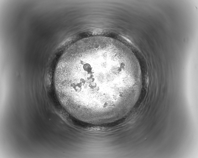 X0000084550691200703161647