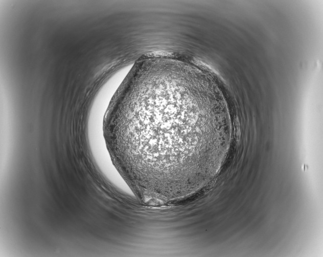 X0000084550692200703161647