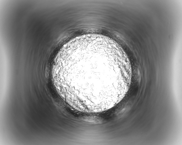 X0000084550695200703161647