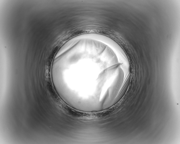 X0000084550696200703161647