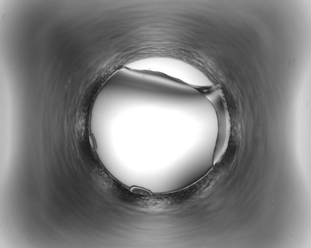 X0000084550697200703161647