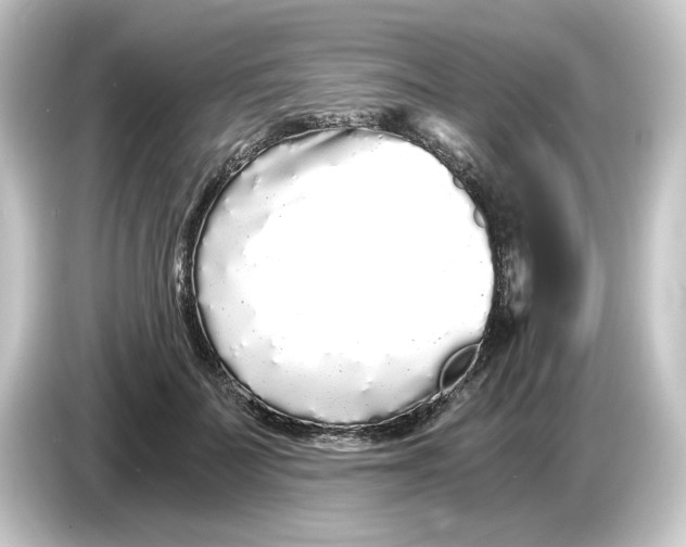 X0000084550699200703161647