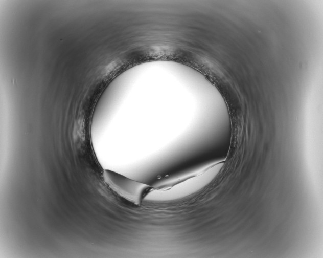 X0000084550700200703161647