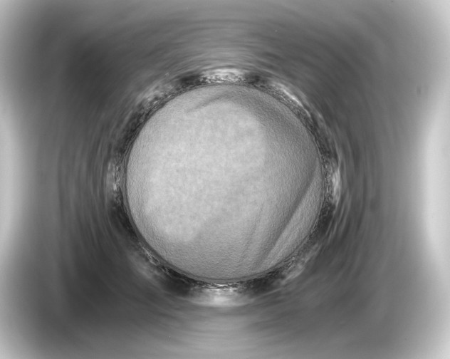 X0000084550701200703161646