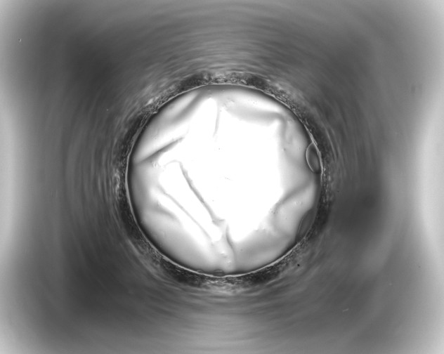 X0000084550703200703161646