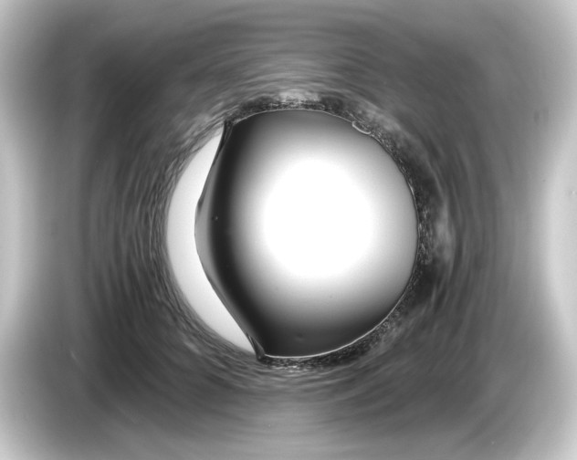 X0000084550704200703161646