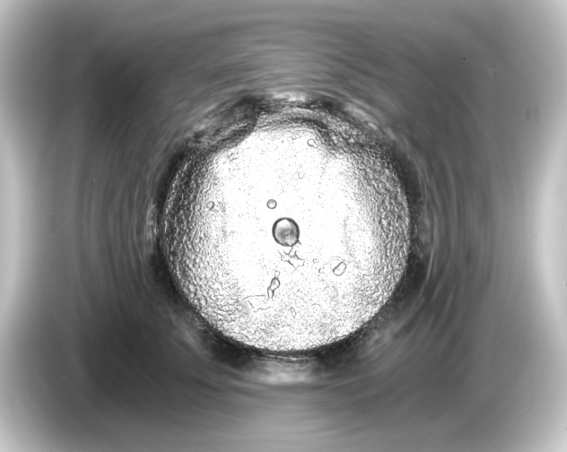 X0000084550707200703161646