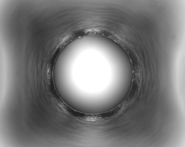 X0000084550708200703161646