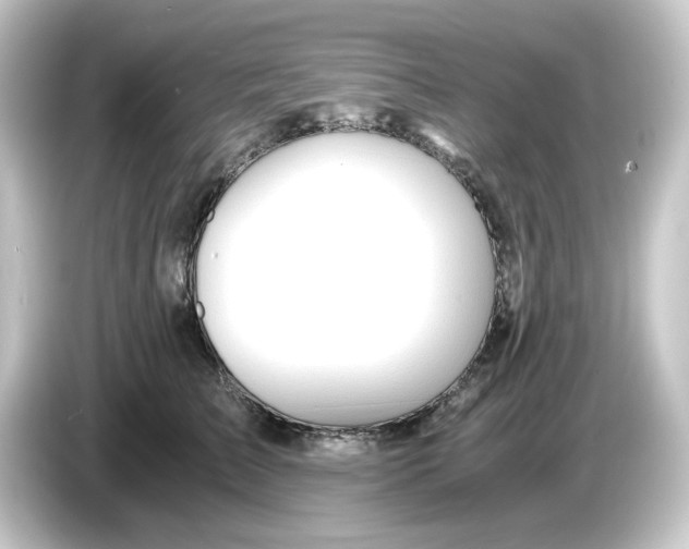 X0000084550709200703161646