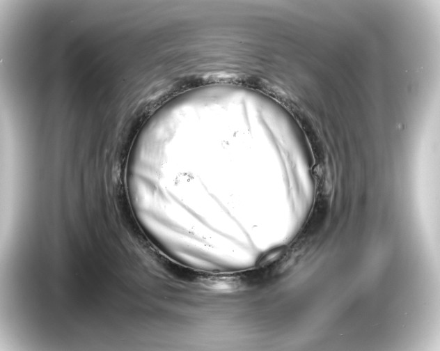 X0000084550711200703161646