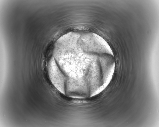 X0000084550712200703161646