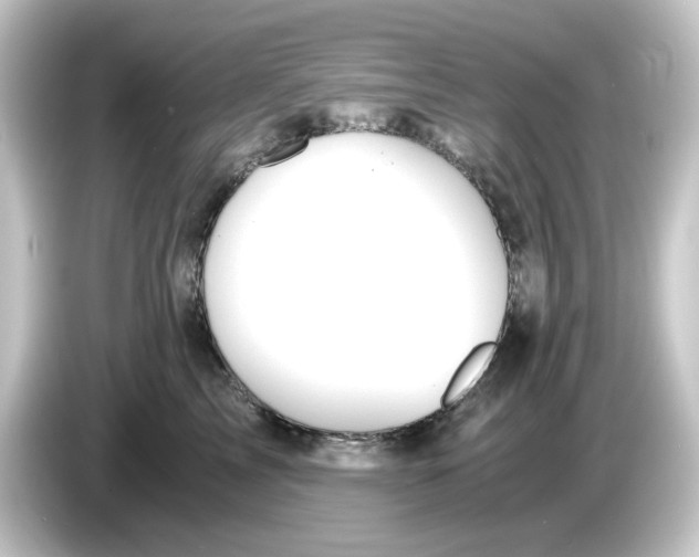 X0000084550713200703161646