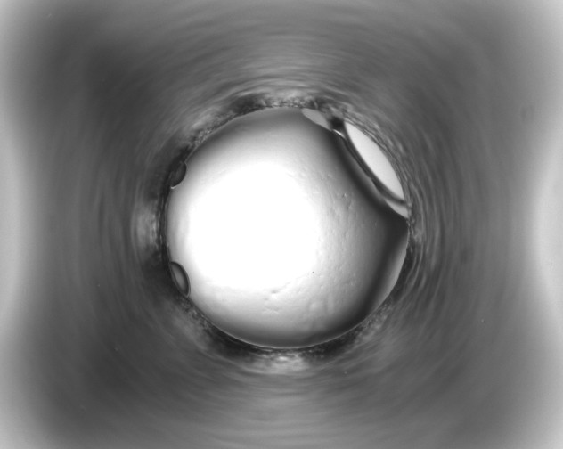 X0000084550715200703161646