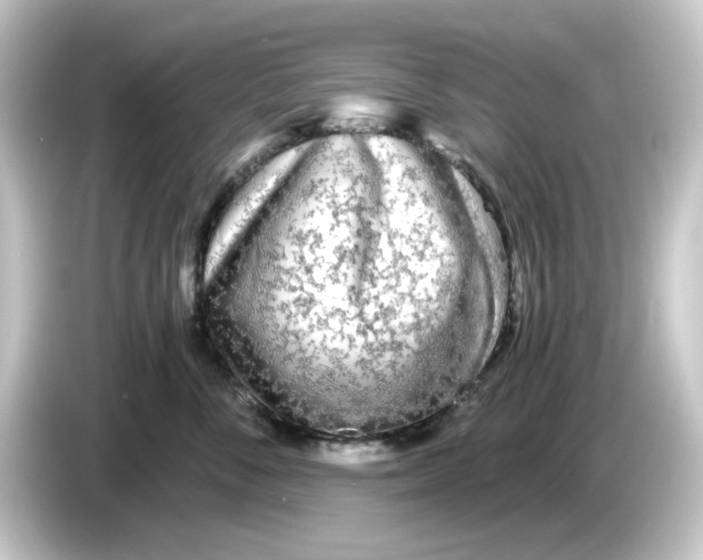 X0000084550716200703161646