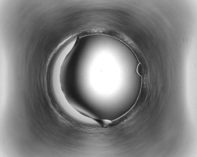 X0000084550722200703161646