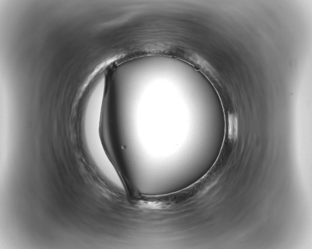 X0000084550723200703161646