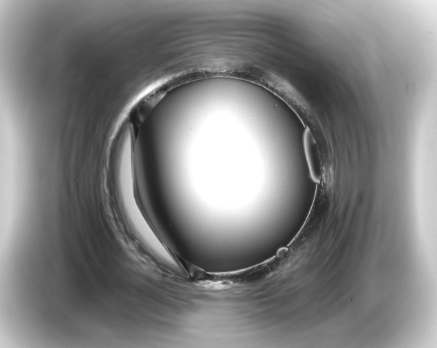 X0000084550724200703161646