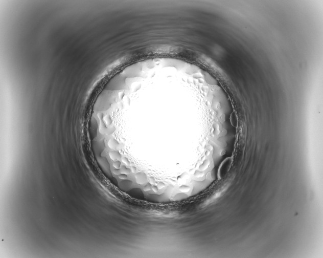 X0000084550725200703161646