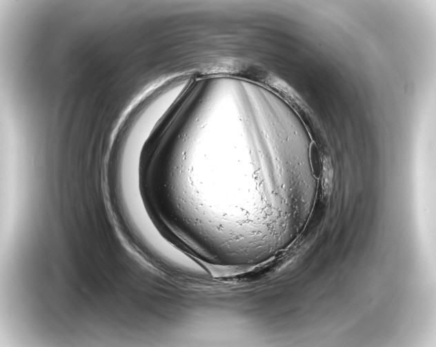 X0000084550726200703161646