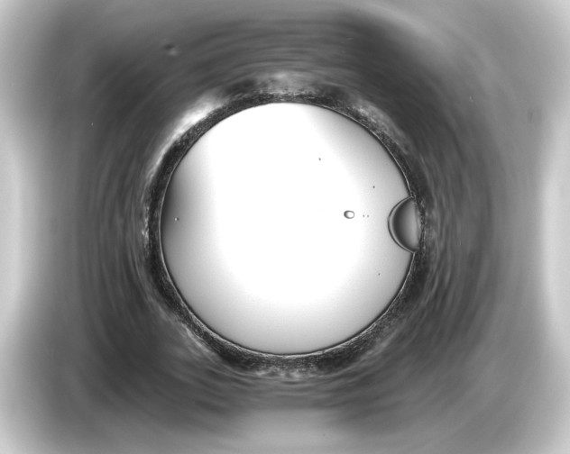 X0000084550727200703161646