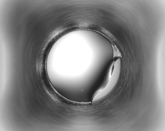 X0000084550728200703161646