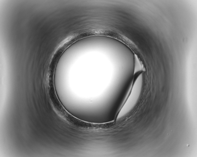 X0000084550730200703161646