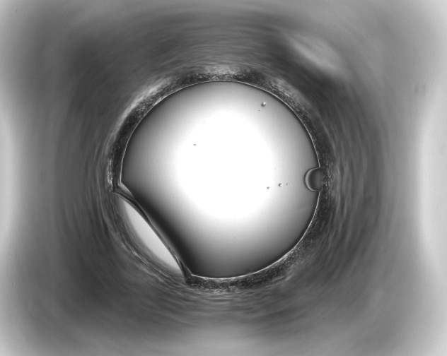 X0000084550731200703161646