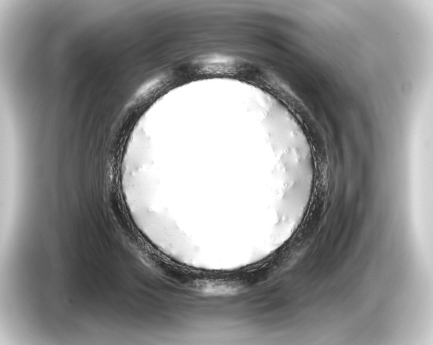 X0000084550733200703161646