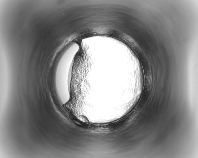 X0000084550734200703161646