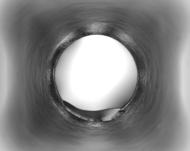 X0000084550735200703161646