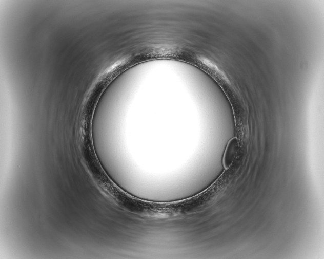 X0000084550736200703161646