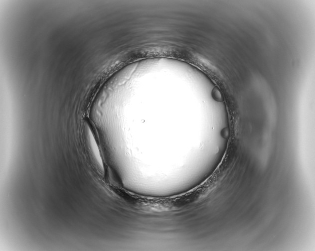 X0000084550737200703161646