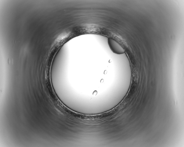 X0000084550740200703161646