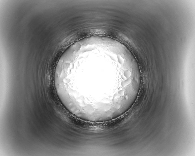 X0000084550741200703161646