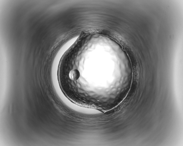 X0000084550742200703161646