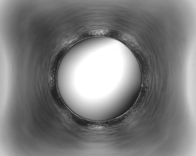 X0000084550743200703161646