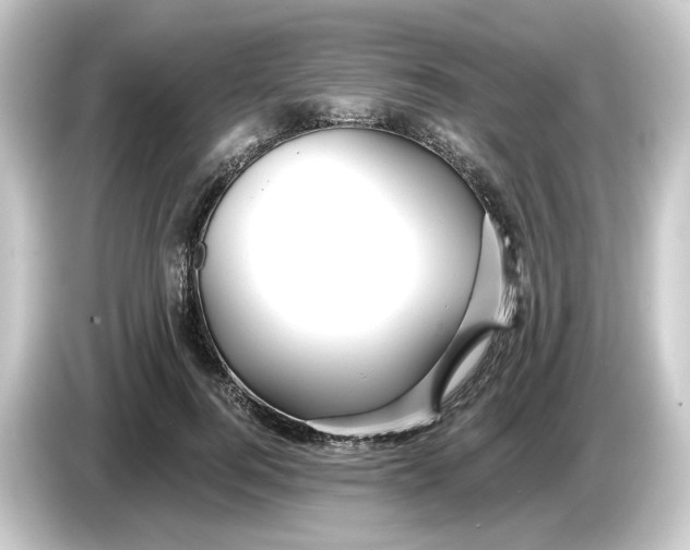 X0000084550744200703161646