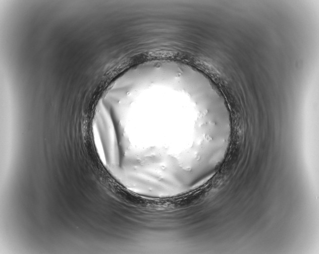 X0000084550745200703161646