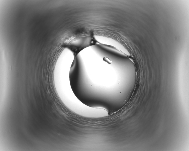 X0000084550750200703161646