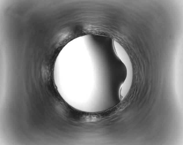 X0000084550751200703161646